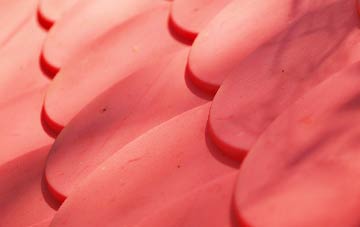 Langton Long Blandford plastic roof costs