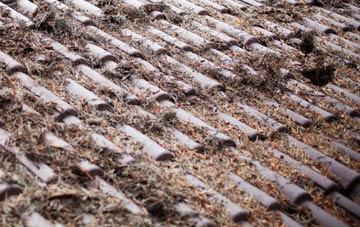 Langton Long Blandford roof cleaning companies