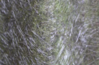 Langton Long Blandford fibreglass roof work